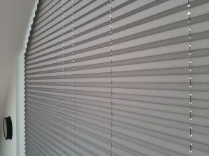 20200130_104004 (2)